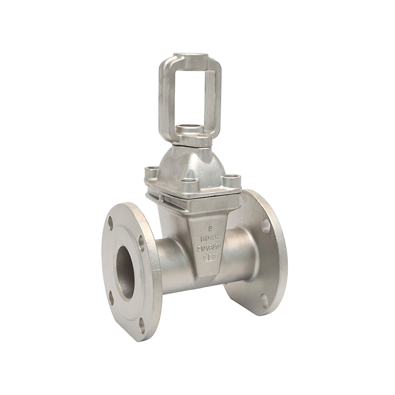 DN65 PN16/10 Flange Soft Seal Gate Valve Casting